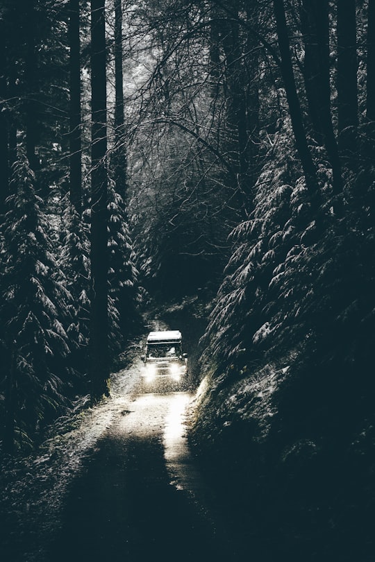 grayscale photo of vehicle between trees in Betws-y-Coed United Kingdom