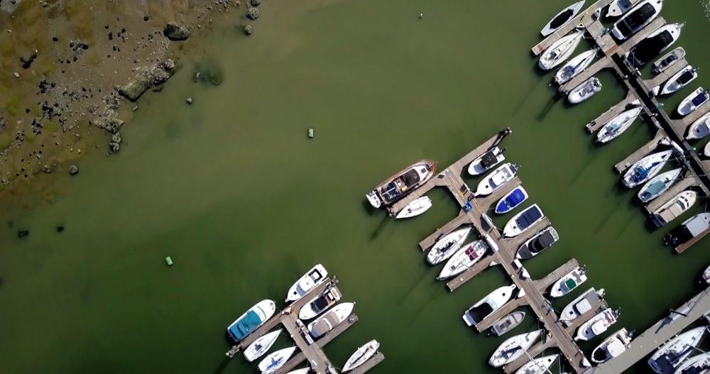 aerial photography of assorted-color boats on body of water