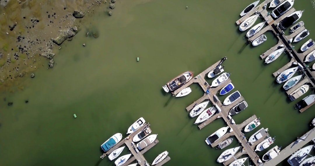 aerial photography of assorted-color boats on body of water