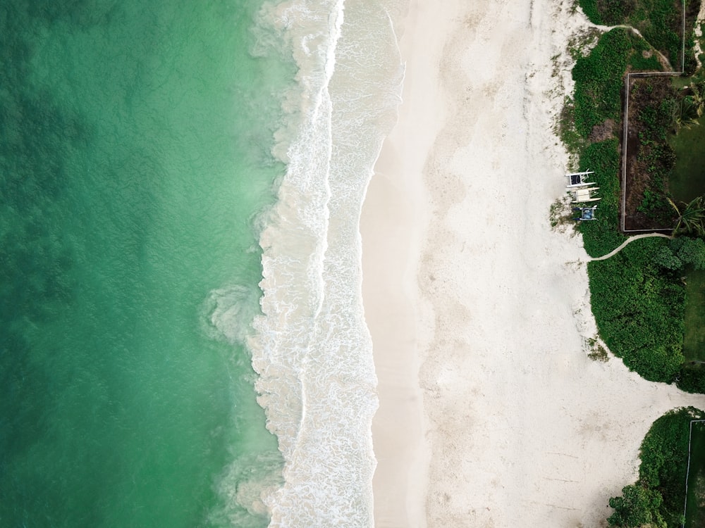 seashore beach