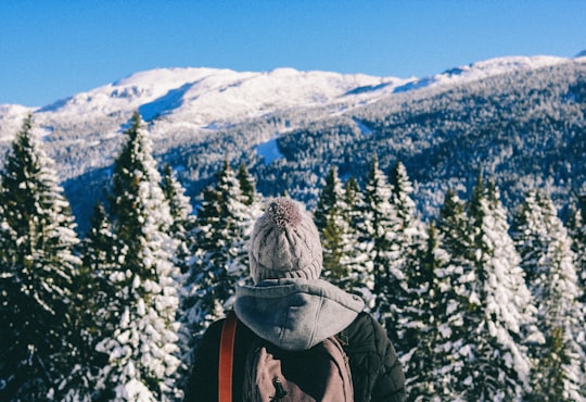 person standing in front of trees covered by snow in Brenta group Italy