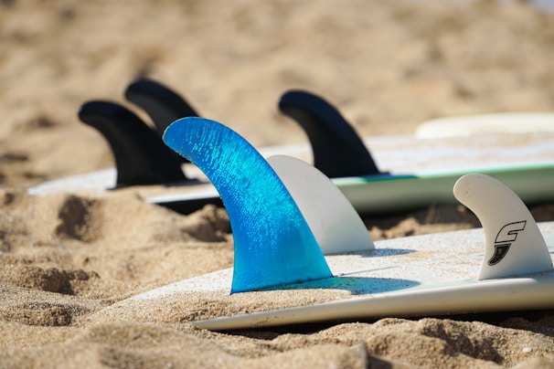 Close-up of colorful surfboard fins resting on golden sand near the ocean