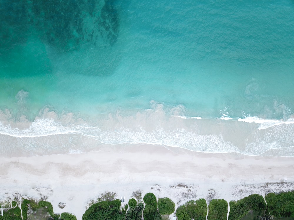 bird's eye view photo of seashore