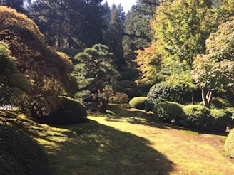 A serene landscape featuring a variety of herbs growing in a lush garden under soft sunlight.
