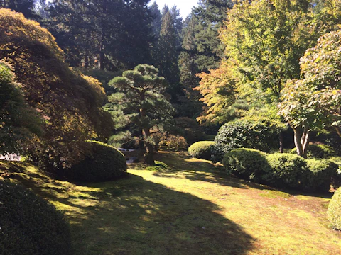 A serene garden with lush green trees and colorful flowers under soft sunlight.