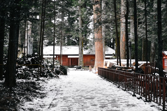 A snow-covered pathway leads through a dense forest of tall trees, with a traditional wooden building visible in the background. The scene has a serene and quiet atmosphere, with snow dusting the branches and logs stacked along the path.
