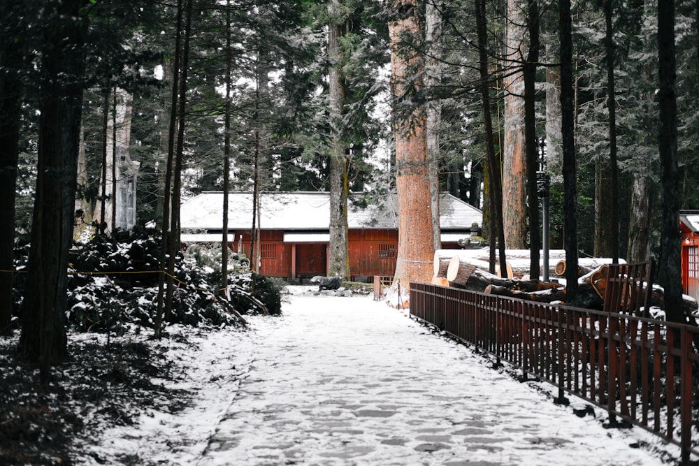 brown wooden house surrounded by trees at daytime