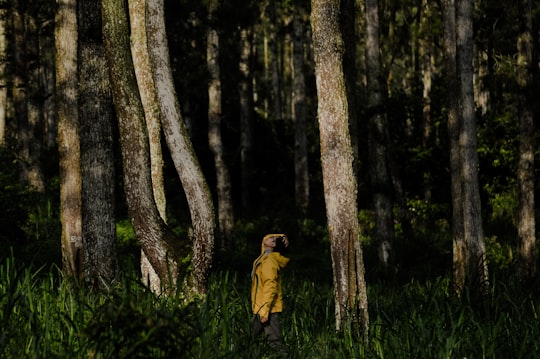 man standing near tree in Semarang Indonesia