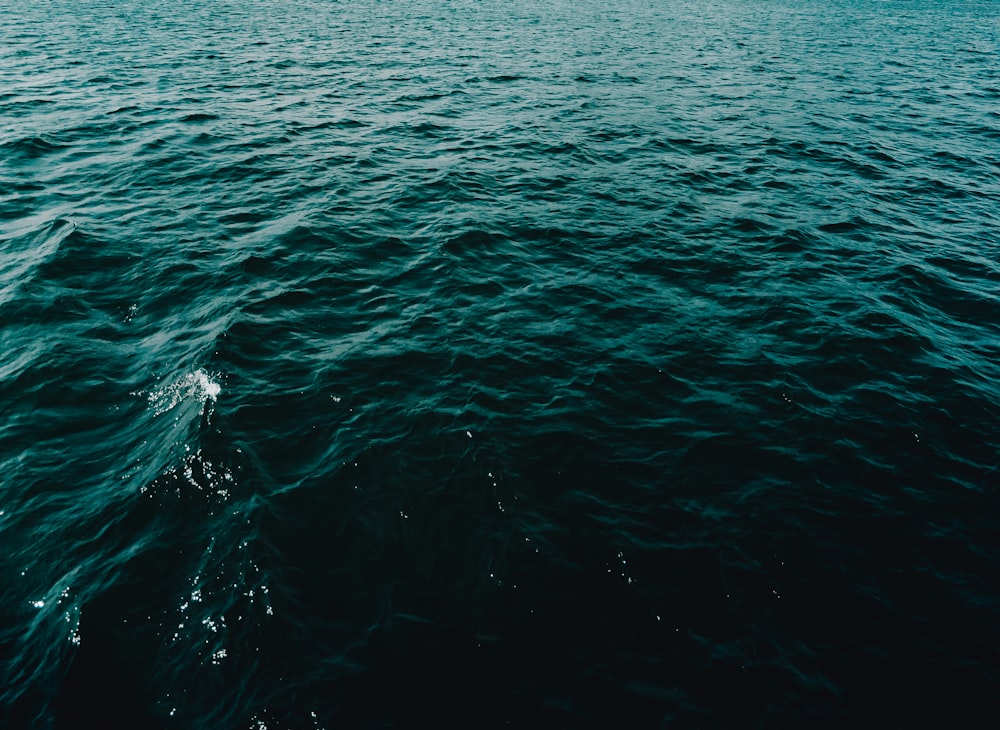 cuerpo de agua durante el día