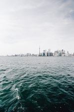 A skyline view representing global business opportunities.