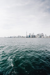 A stunning skyline view representing international real estate projects.