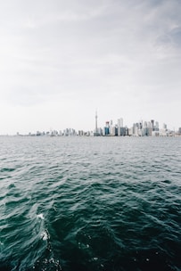 A skyline view representing global business opportunities.