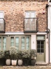 six green leafed plants near brown concrete 2-storey house at daytime