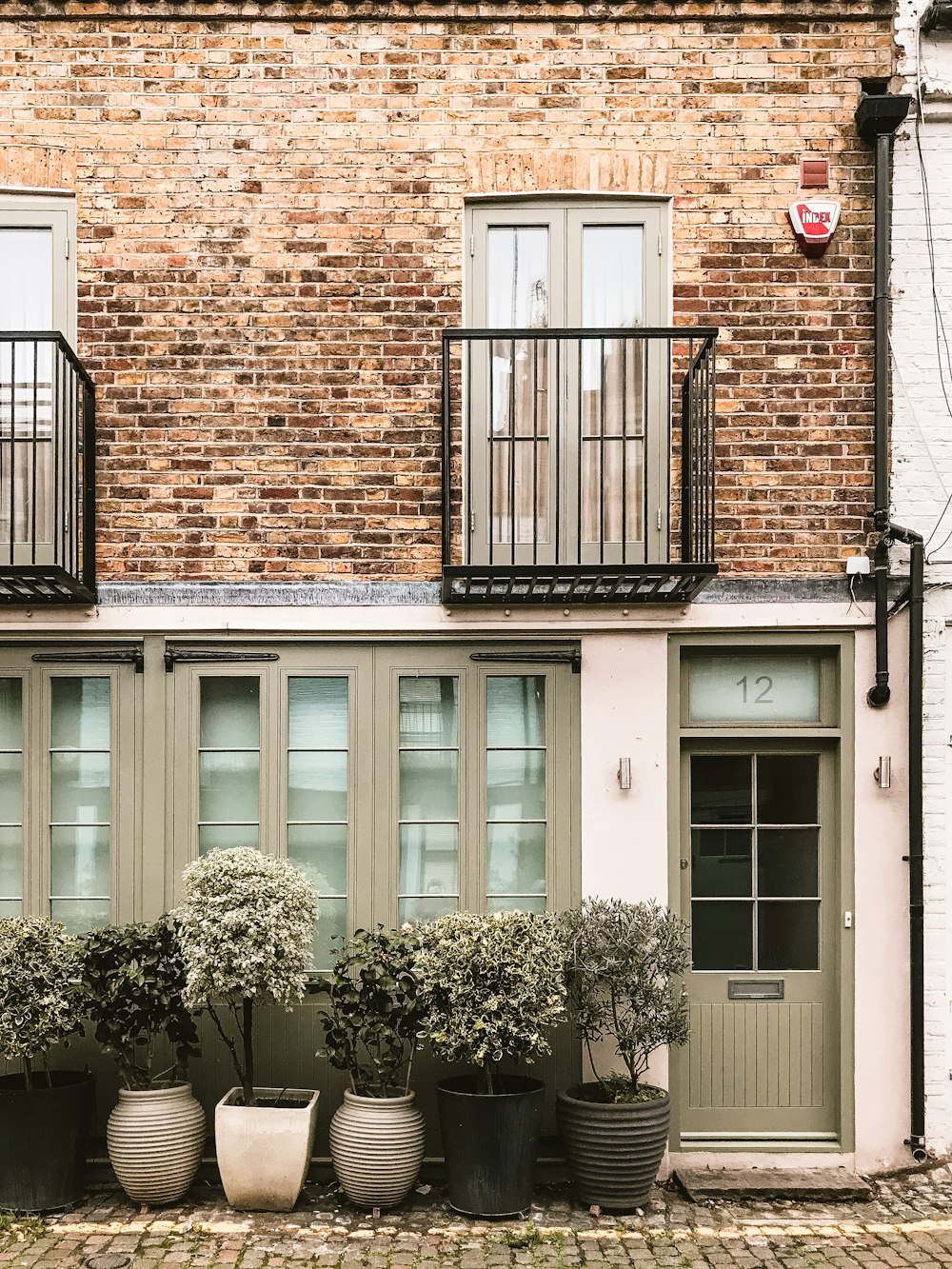 six green leafed plants near brown concrete 2-storey house at daytime