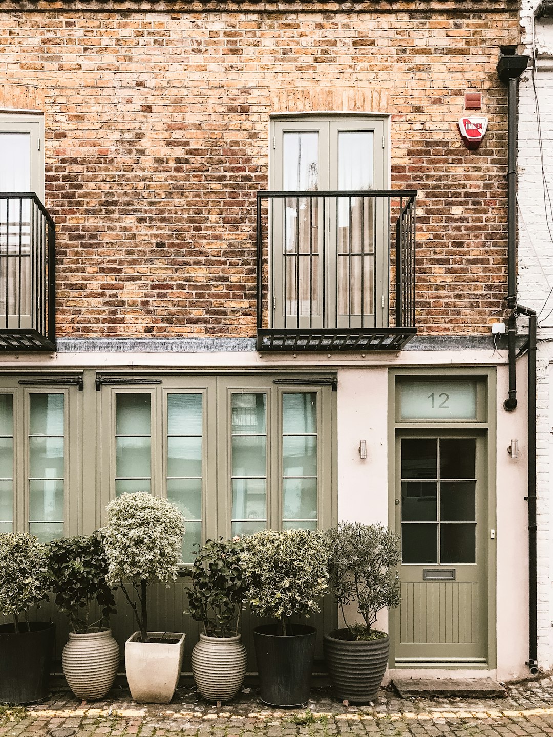 six green leafed plants near brown concrete 2-storey house at daytime