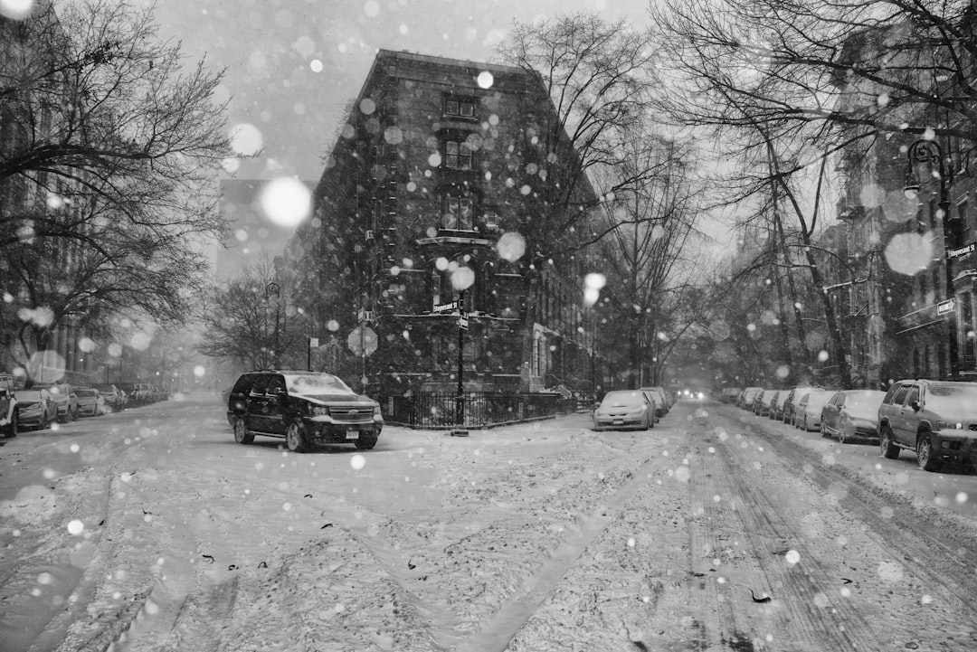 Winter Storm Paralyzes Houston Airports Complete Guide to Flight Al… — Winter Storm Paralyzes Hou…, photo 2