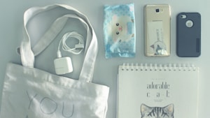 AI Learning Bundle