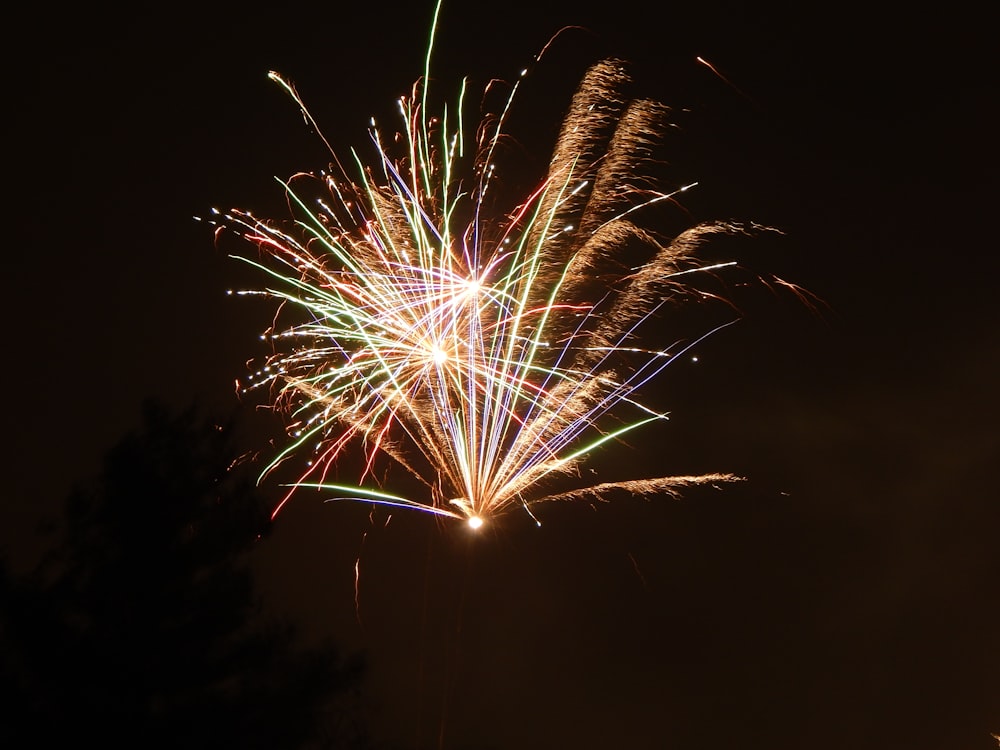 worm's-eye view photo of multicolored fireworks display