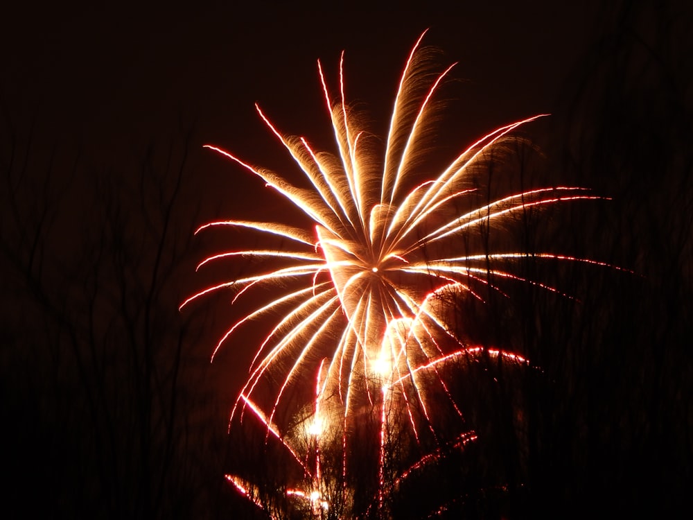 fireworks display