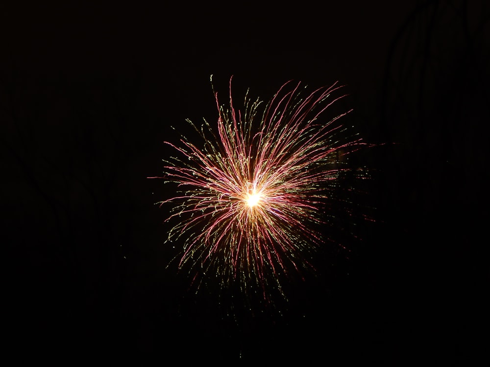 red fireworks during nighttime