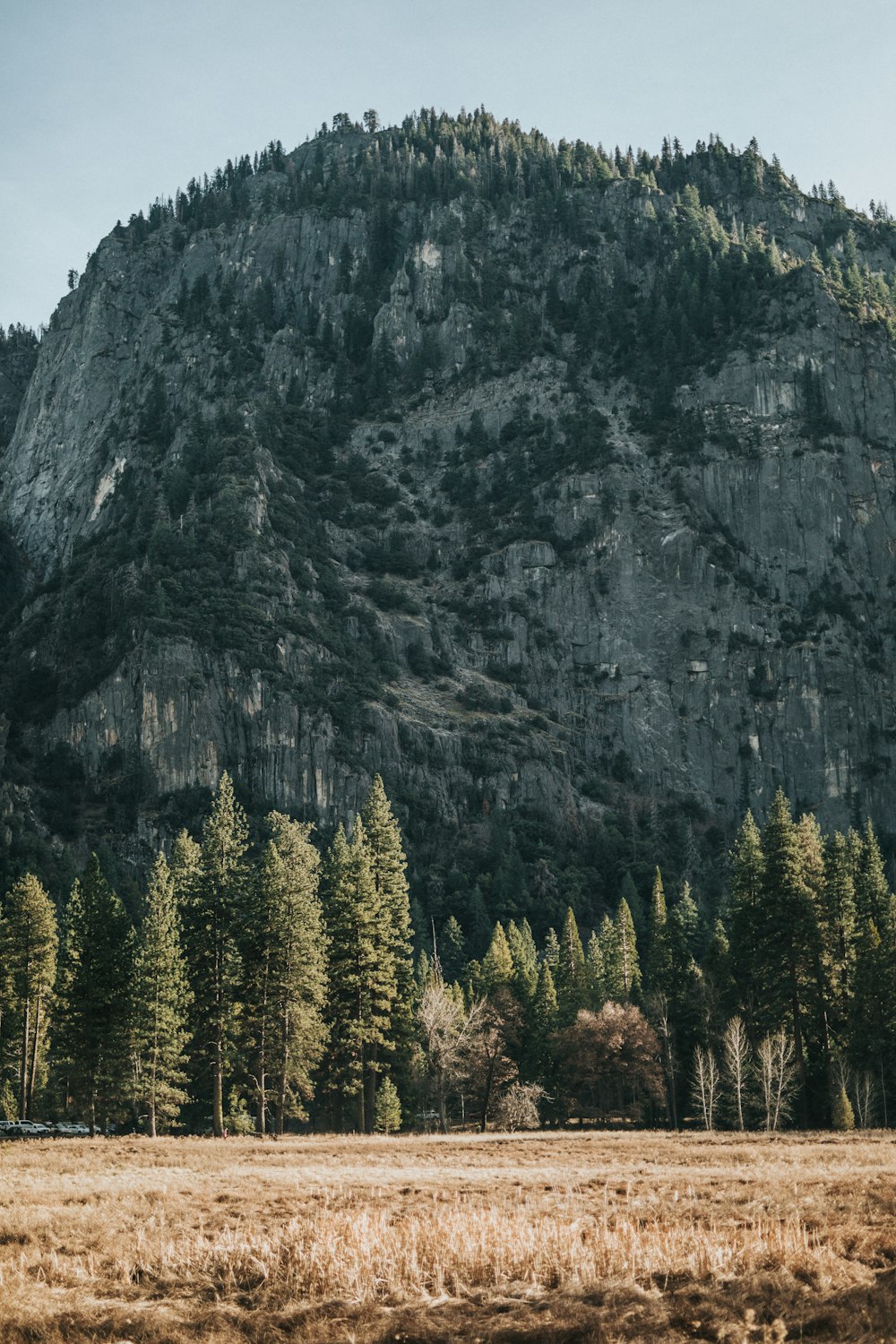 Fotografía de paisaje de montañas rodeadas de árboles