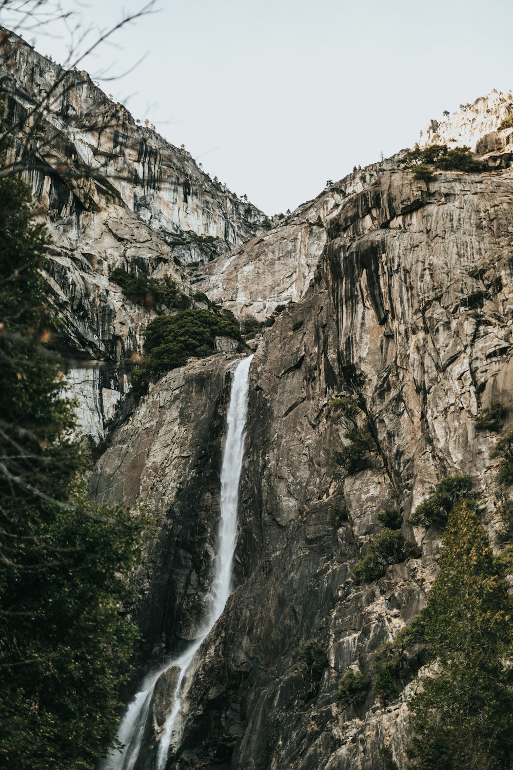 landscape photography of waterfalls surrounded by trees