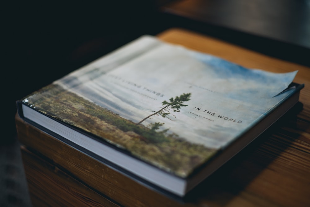 white and brown softbound book on top of brown wooden container