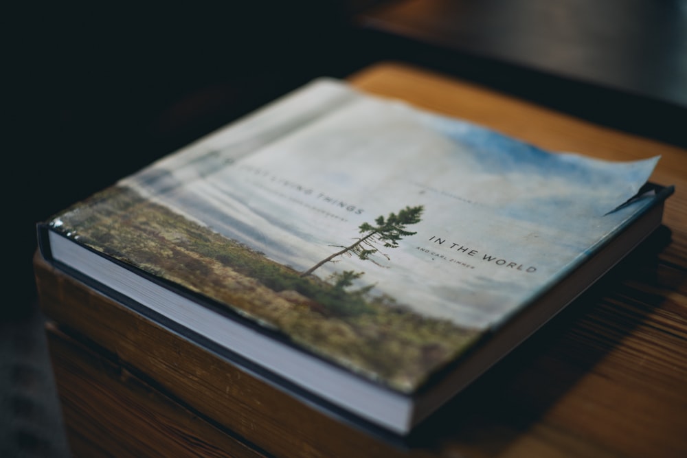 갈색 나무 용기 위에 흰색과 갈색 소프트 바운드 책