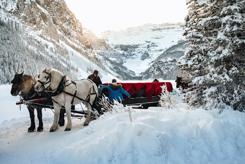 men's standing beside two horses near mountain during daytime