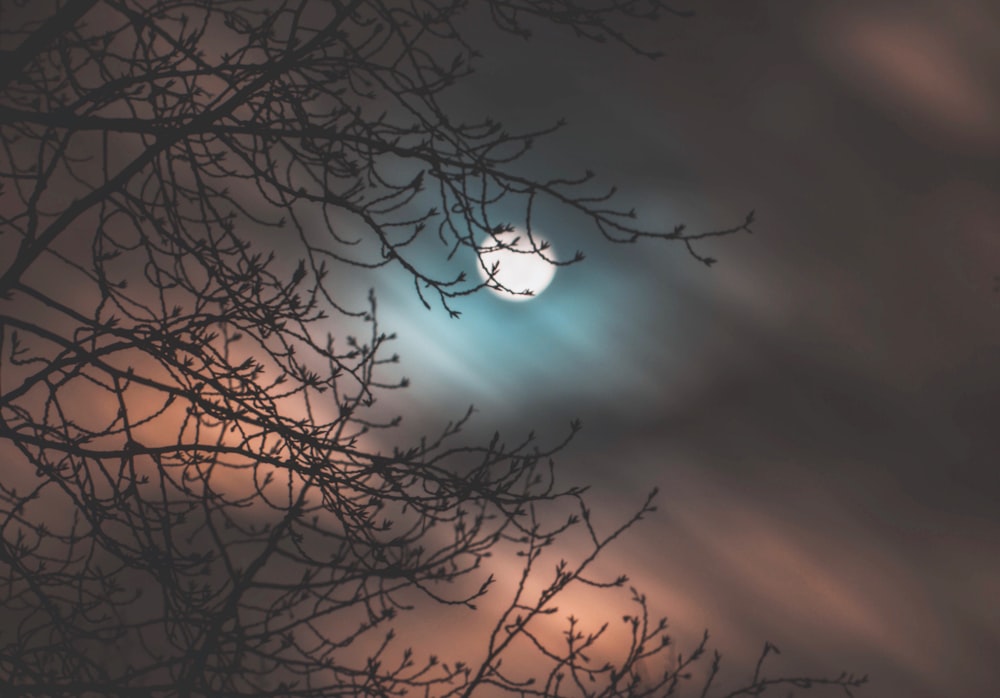 photo of moon during night time