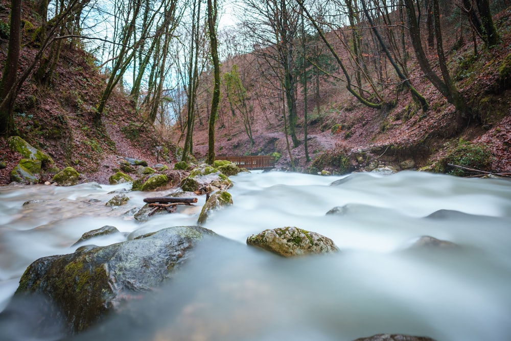 time-lapsed photography of body of water between trees on brown mountain