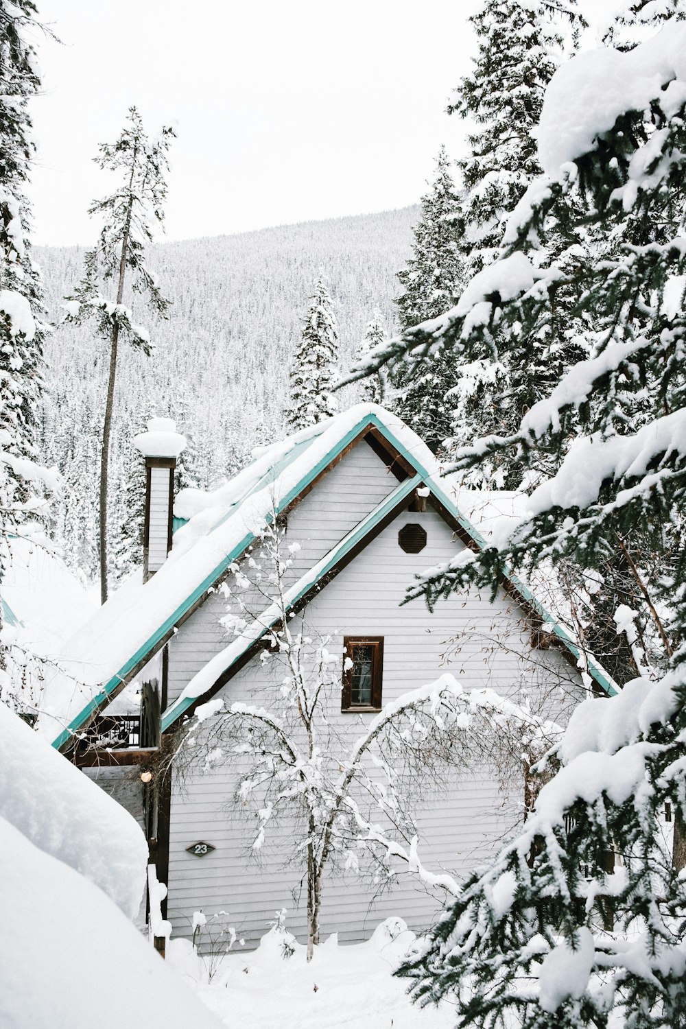 white wooden house near trees covered with snow