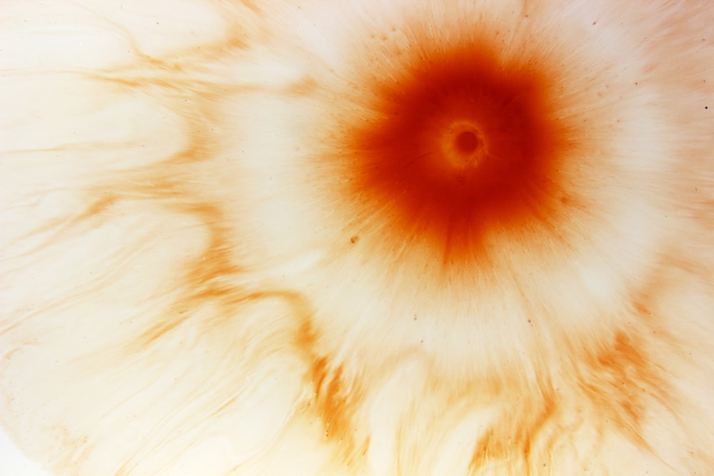 a close up of a white and orange object
