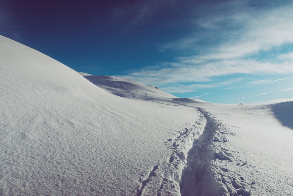 landscape photography of snow field