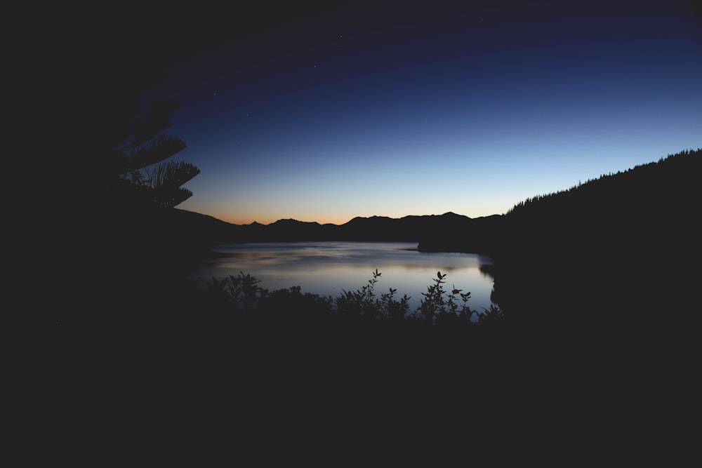 silhouette di piante vicino allo specchio d'acqua vicino alla montagna