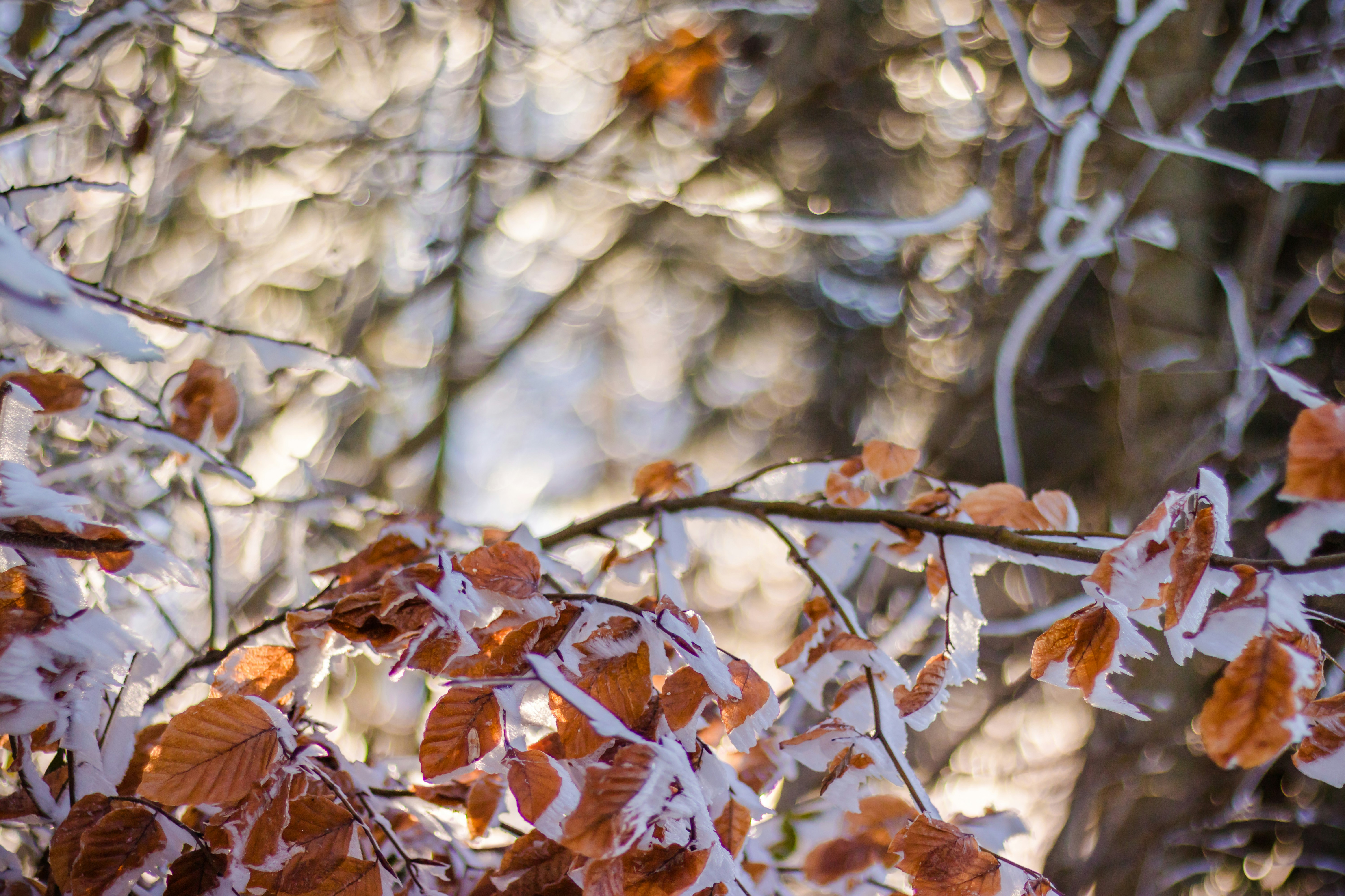 Photo by basilsamuellade