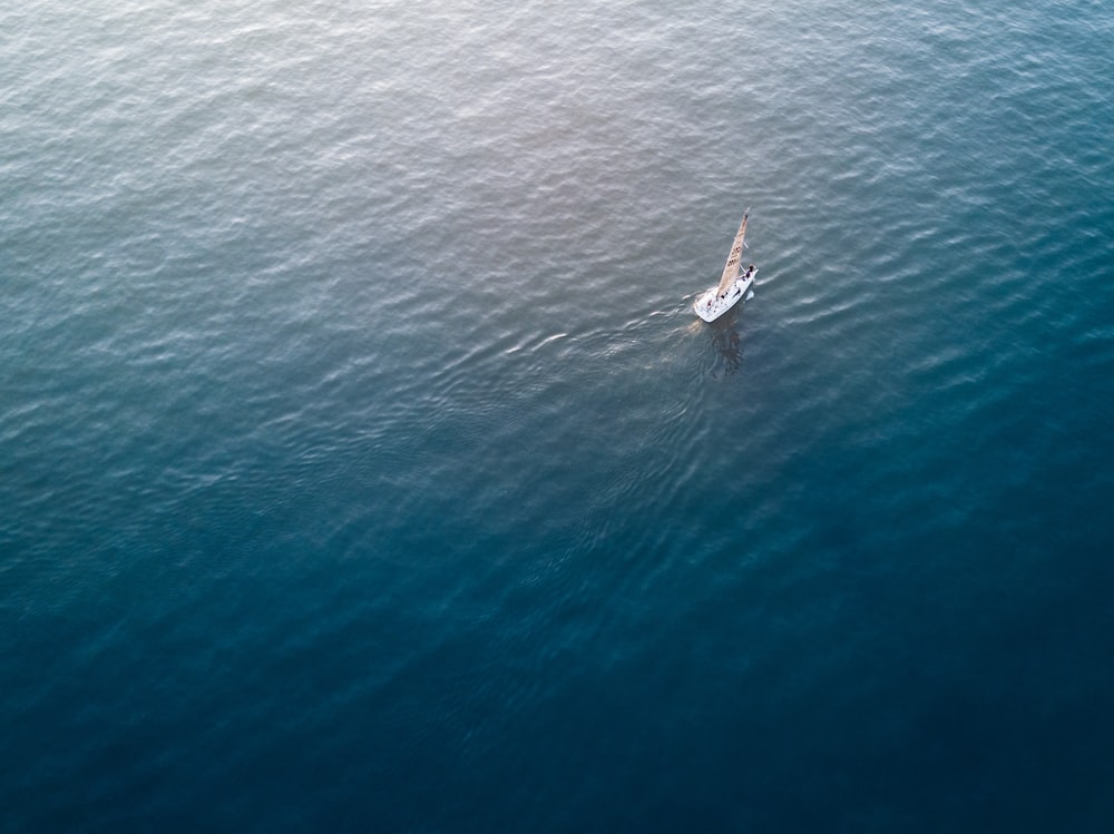 穏やかな水域に浮かぶ白いヨットの航空写真