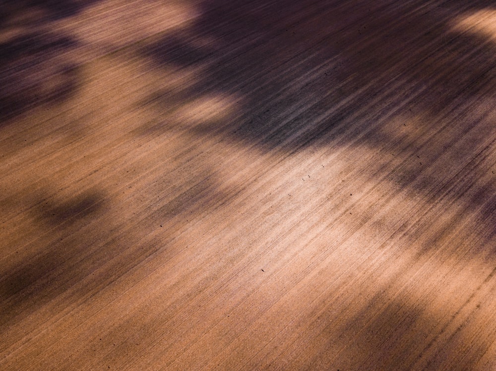 a person riding a skateboard on a wooden surface