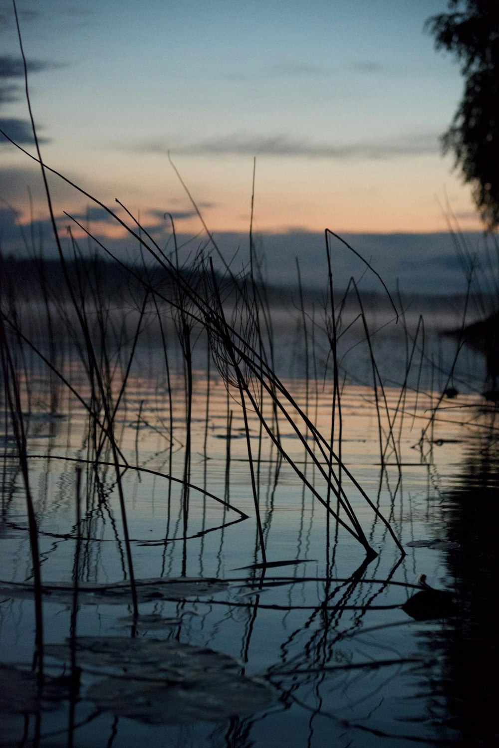 body of water during golden hour