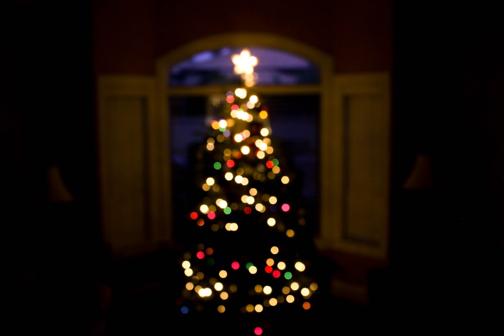 fotografia a fuoco superficiale dell'albero di Natale verde con luci a stringa multicolori