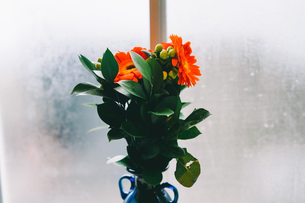orange flowers on blue vase near glass panel