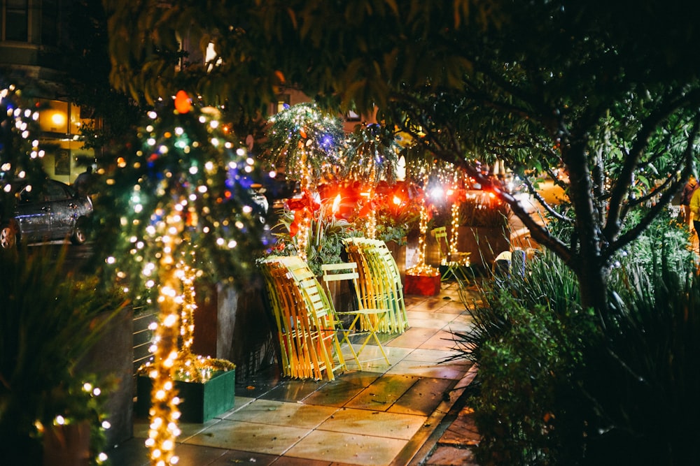 a lot of turned on garden lights near plants during nighttime