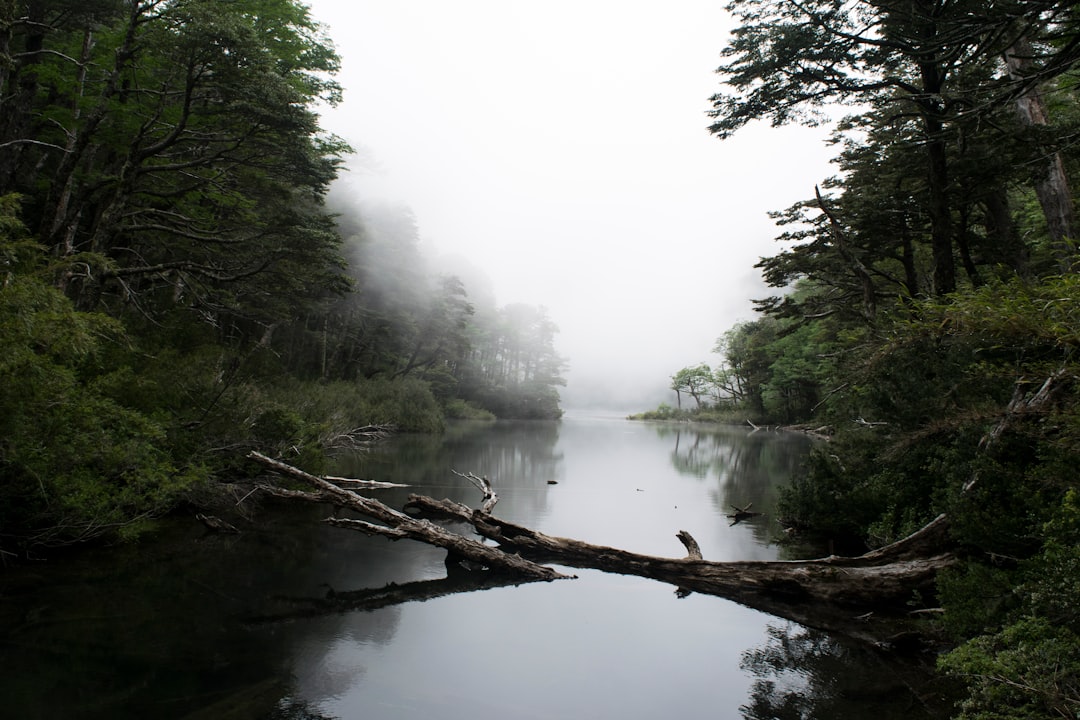 River photo spot Huerquehue National Park Temuco