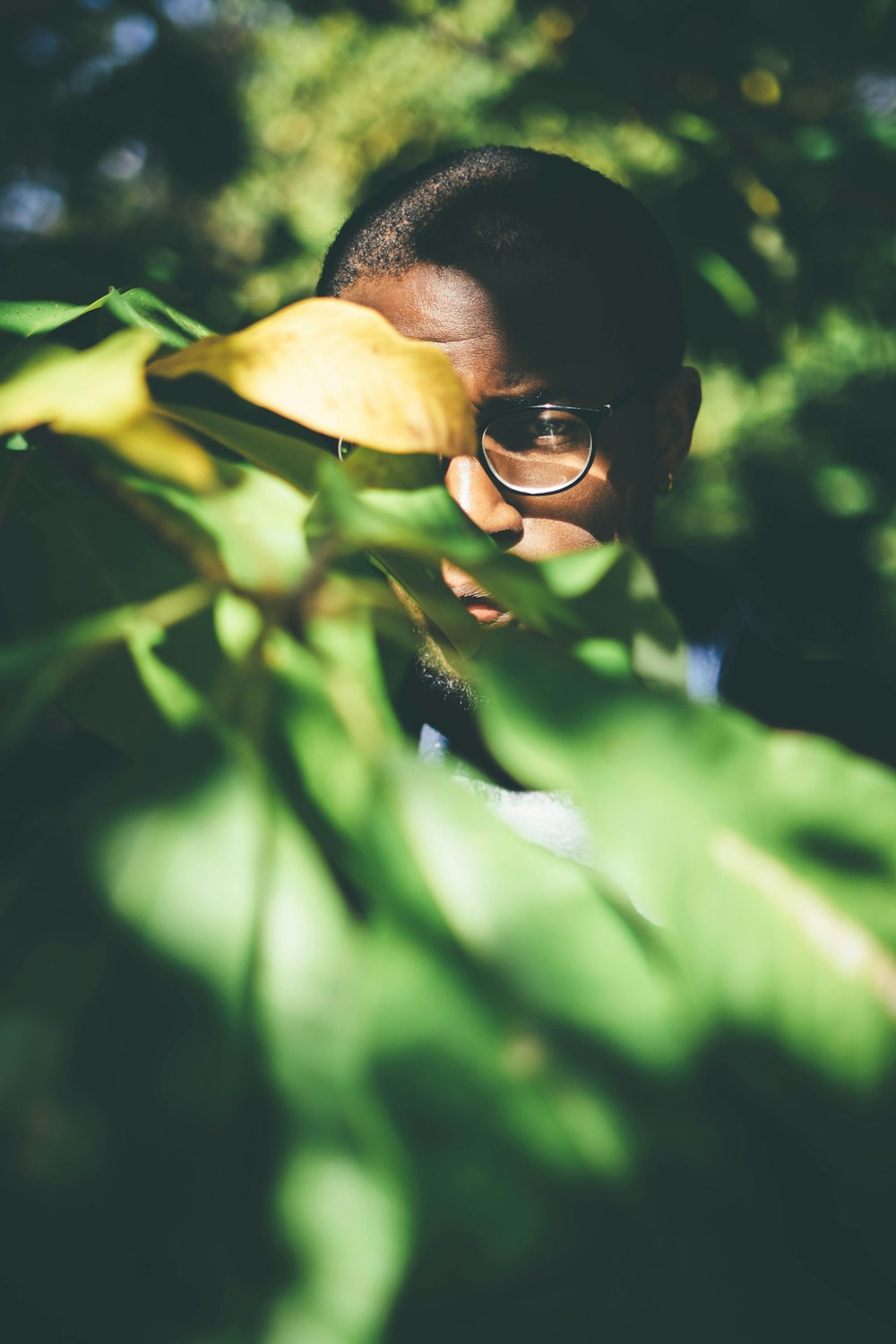 昼間、植物の葉の後ろに黒い眼鏡をかけた男