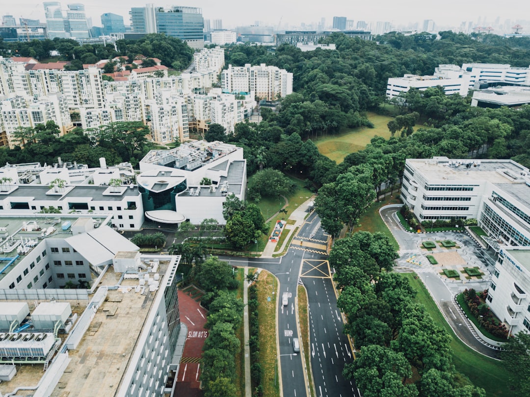 aerial photography of city and road during daytime