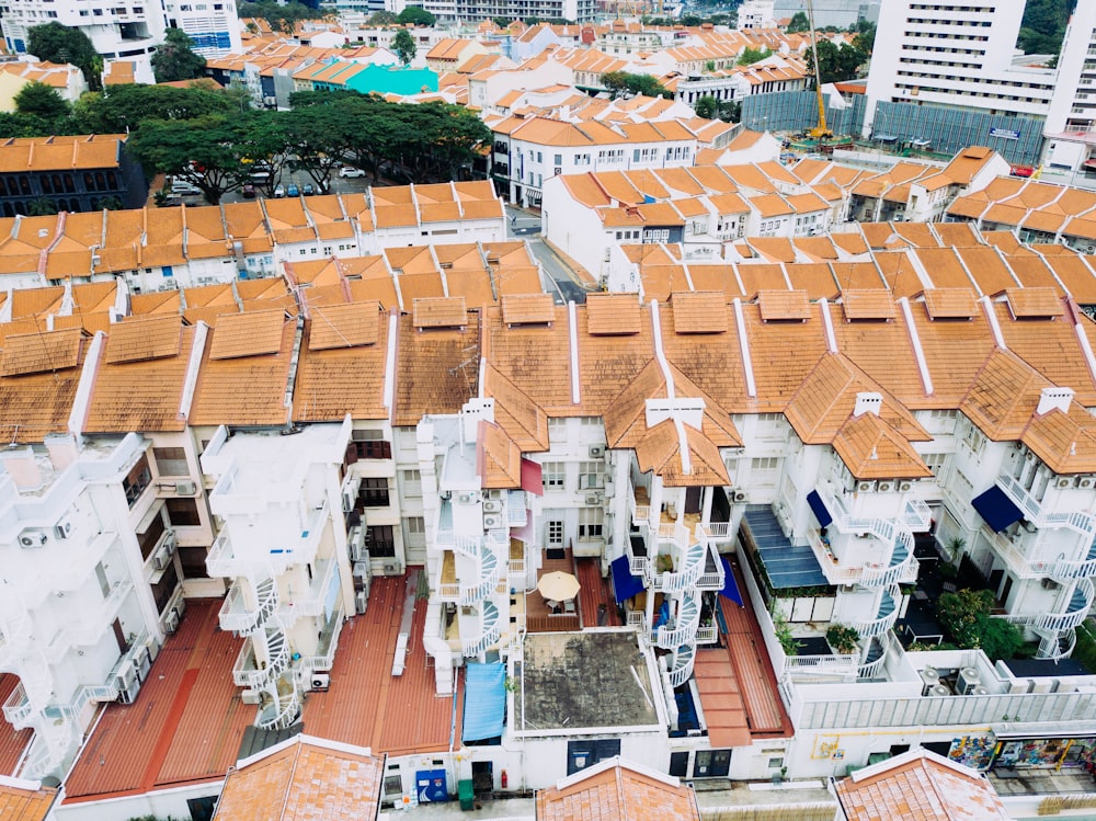 aerial photo of houses with brown roofs