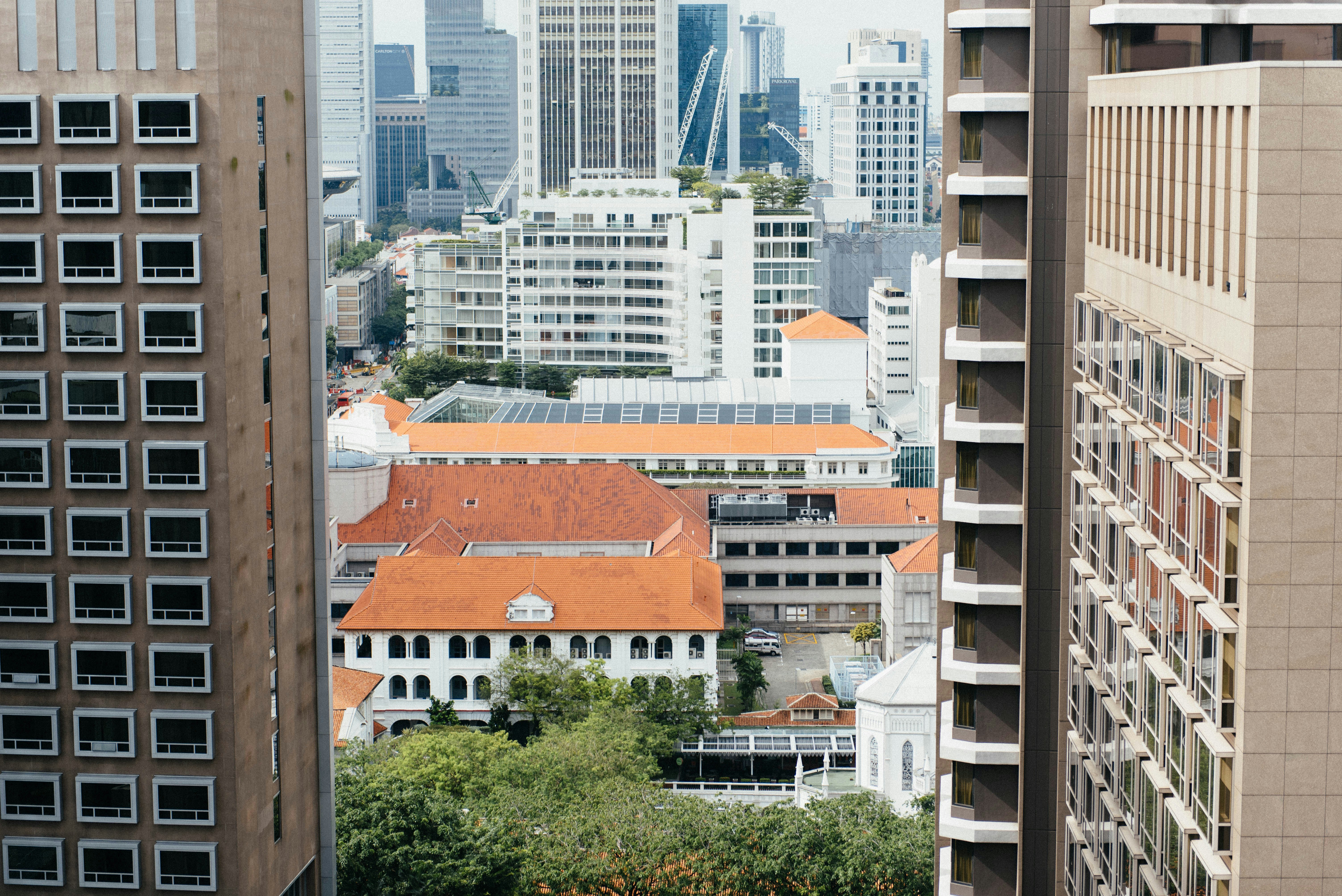 Photo by chuttersnap