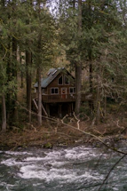flowing river near house and trees