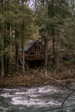 flowing river near house and trees
