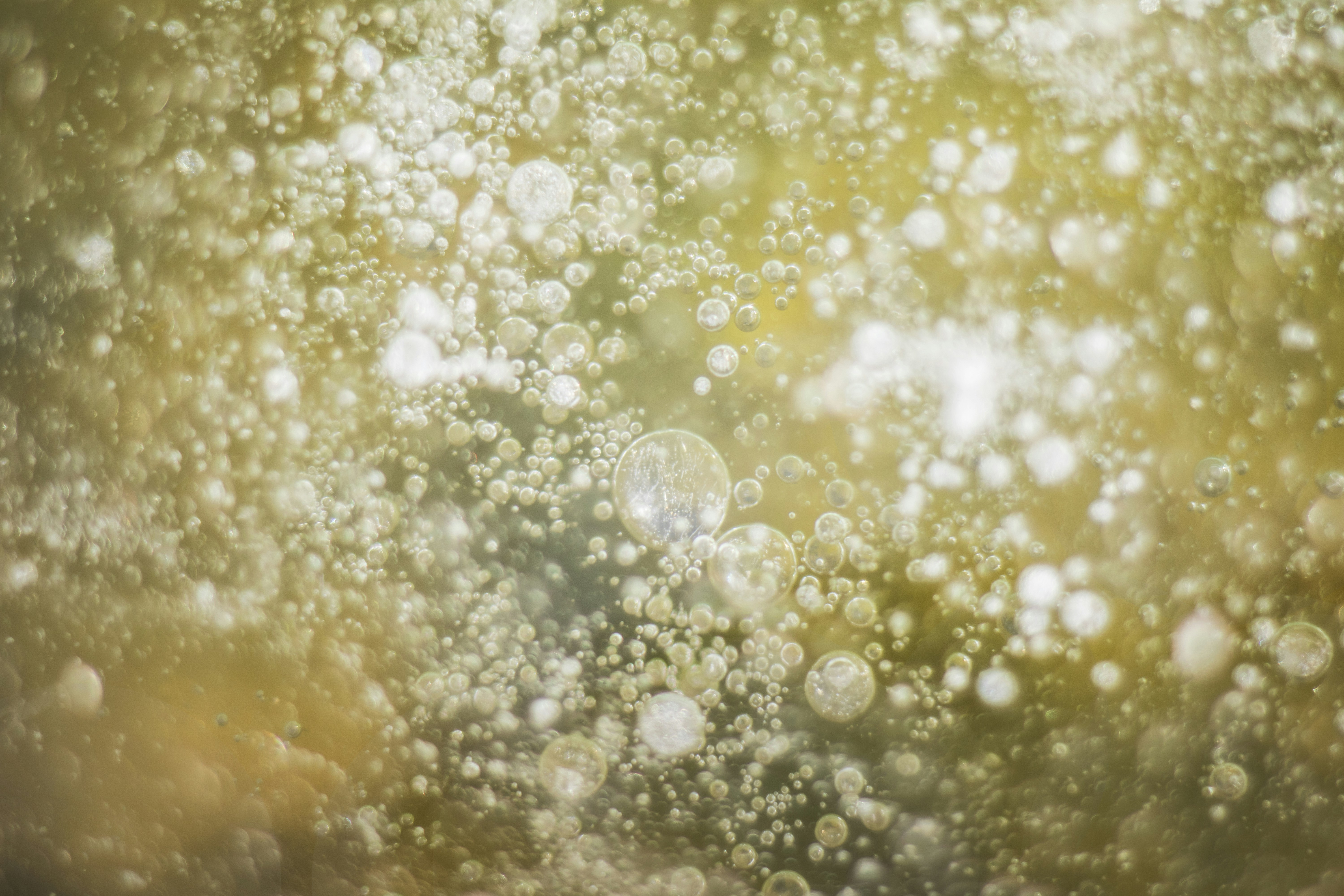 It’s hard for me to believe that this is actually ice… but it is, I took the picture! There is a pond by my work that is frozen about 1.5 feet. I took my 50mm 1.8f lens and shot it straight down at the ice, picking up a pretty shallow depth of field. It’s amazing how God has created nature to work so perfectly and also so beautifully.